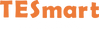 TESmart logo